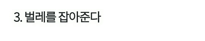 상상 속의 고양이 vs 실제 고양이 | 인스티즈