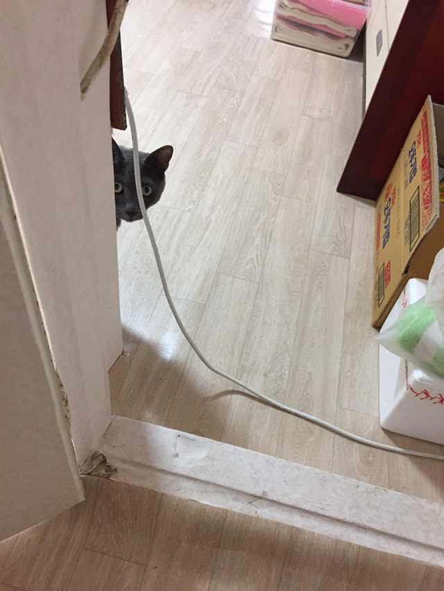 샤워하거나, 화장실에 오랜시간 있으면 발생하는일..... | 인스티즈
