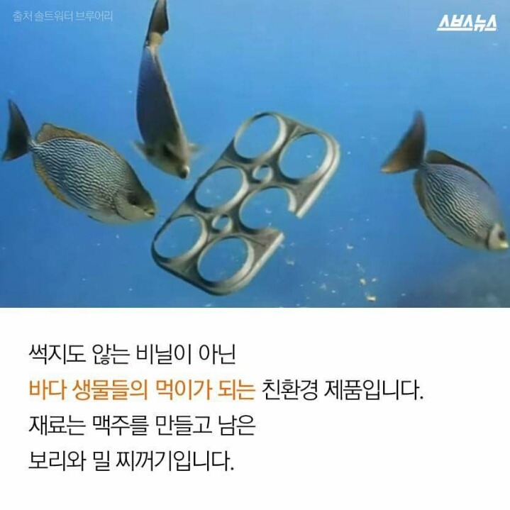 저는 땅콩 거북이 입니다 | 인스티즈