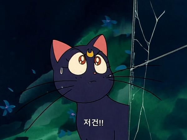 미소녀 전사 세일러문 (美少女戦士セーラームーン) 26 | 인스티즈