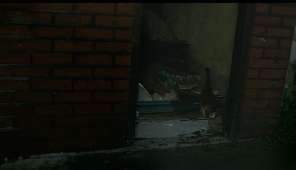 [감자별] 1화 진아의 고군분투 3 (完) | 인스티즈