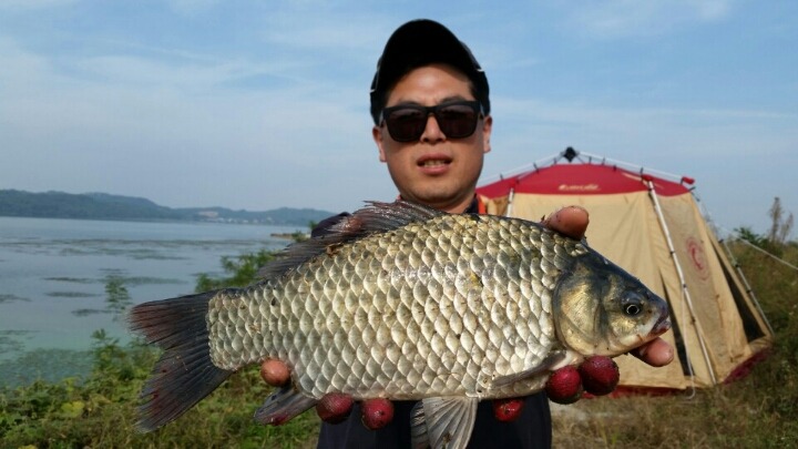 조개섬 이미지