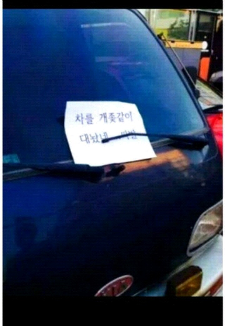 돌직구 사이다 | 인스티즈