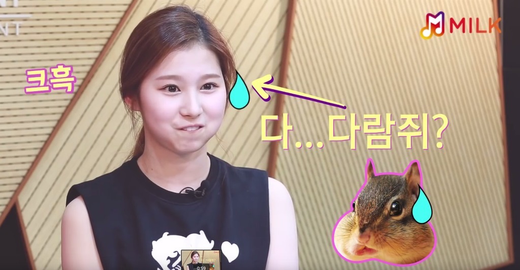 바보 사나 | 인스티즈