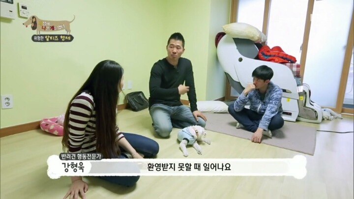 공격적인 반려견이 되는 이유 2부.jp | 인스티즈