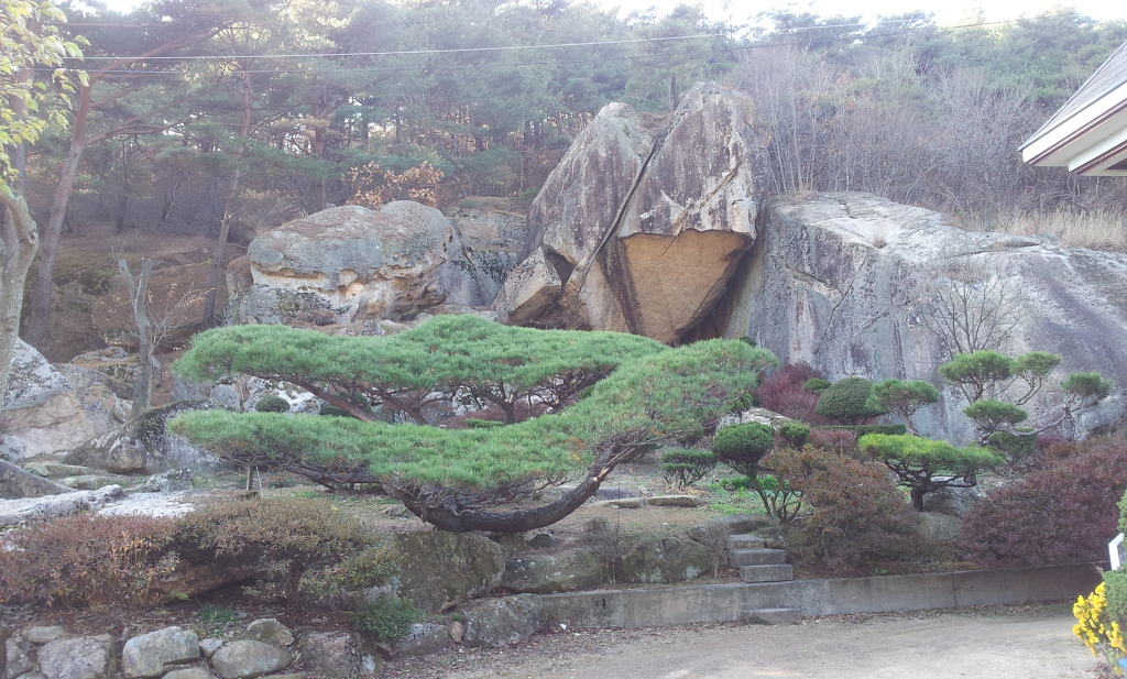 보은농장 이미지