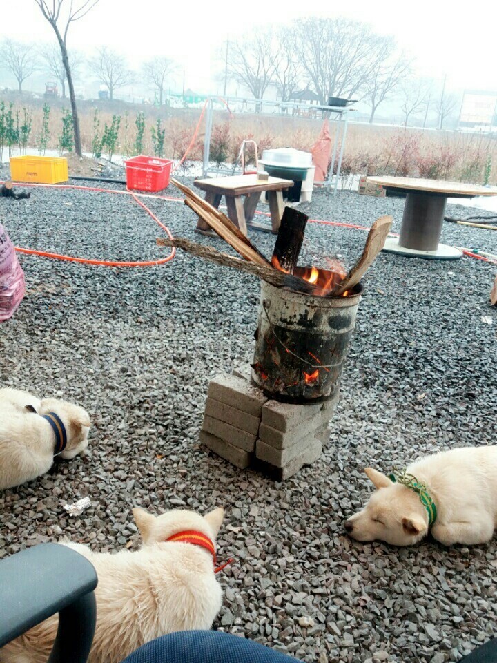 사랑하는 내 동생은 개소주가 되어서 돌아왔고 저는 개소주녀가 되었습니다 | 인스티즈