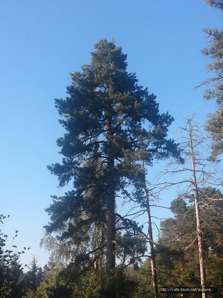 26785C3A5783975D12367C