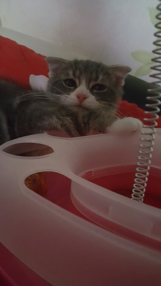 덕9 이미지