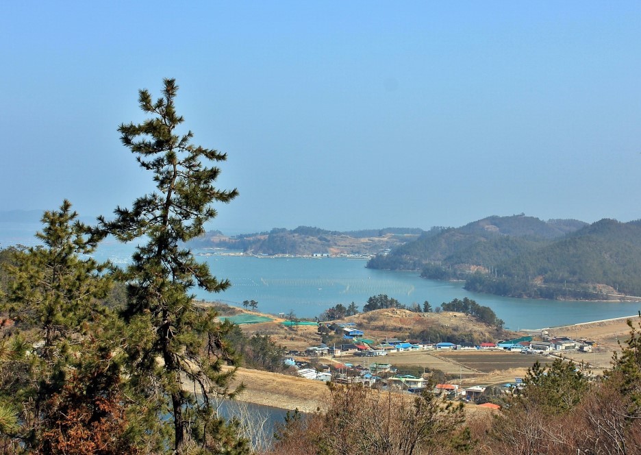 약산도 이미지