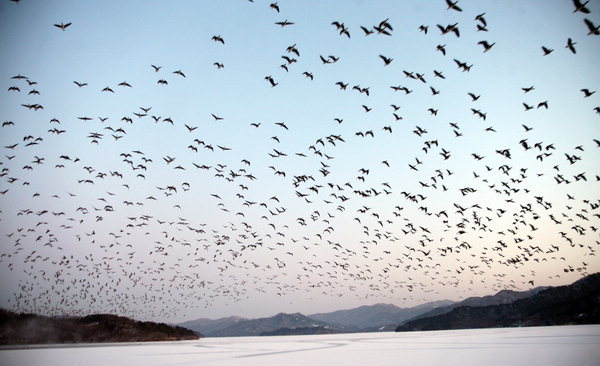 역대 우리나라에서 일 최저기온이 가장 낮았던 지역 Top10 | 인스티즈