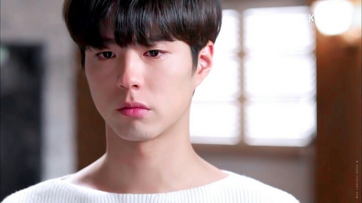 서강준 X 박보검으로 보는 인소 명대사 (브로맨스 주의) | 인스티즈