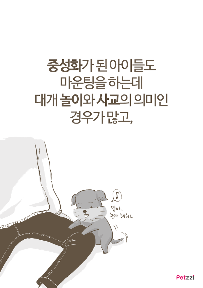 강아지 붕가붕가.jpg | 인스티즈