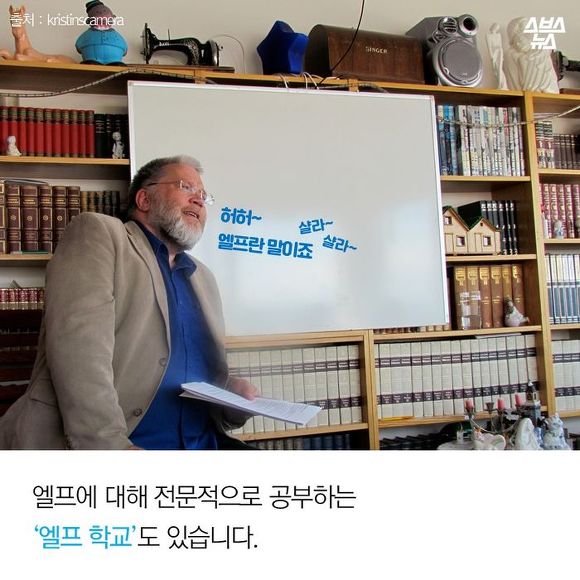  요정이랑 일촌 맺는 나라 | 인스티즈