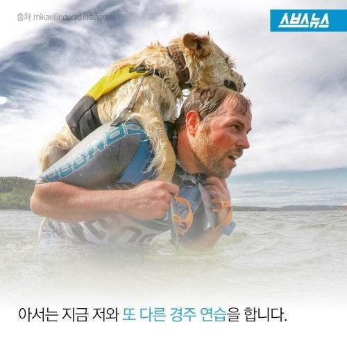 길에서 만난 친구 .jpg | 인스티즈