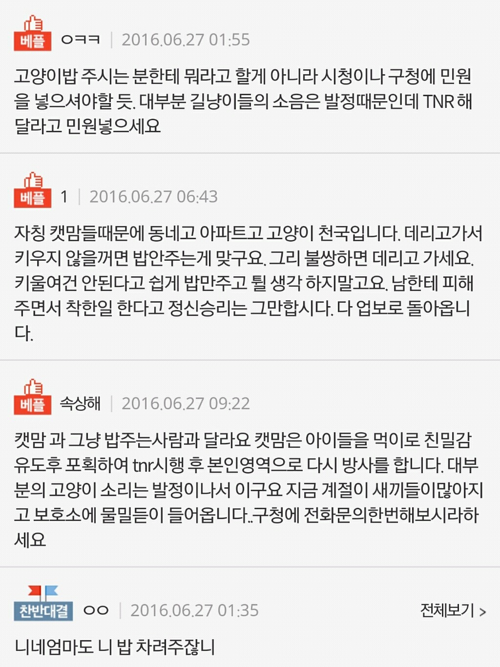 길고양이들때문에 싸웠습니다 밥 좀 주지마세요 제발 | 인스티즈