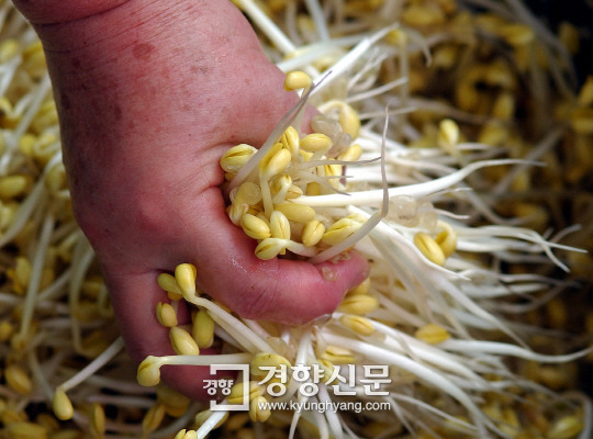 살기좋은 도시의 기준은? | 인스티즈