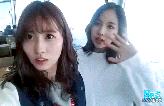 묘이 미나 스위스 | 인스티즈