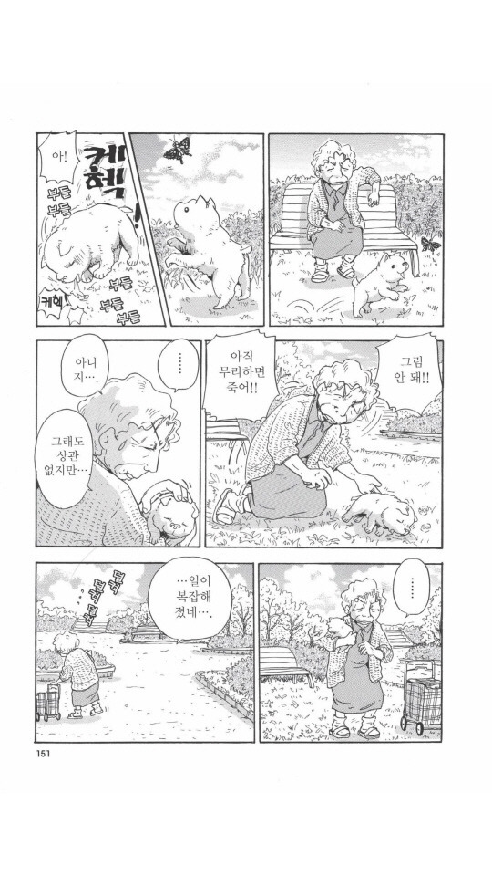 개를 주워오면 안되는 이유 | 인스티즈