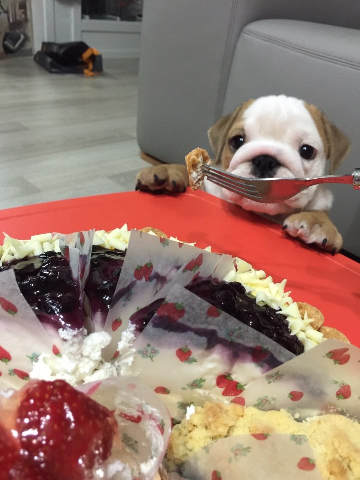 카페히로 이미지