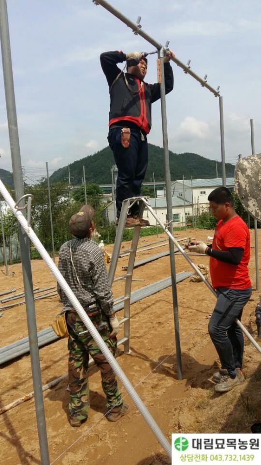 대림농원 이미지