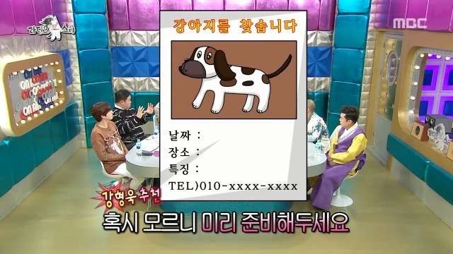 잃어버린 강아지 찾을 수 있는 골든타임 | 인스티즈
