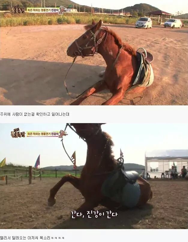 말도 안되는 말 | 인스티즈