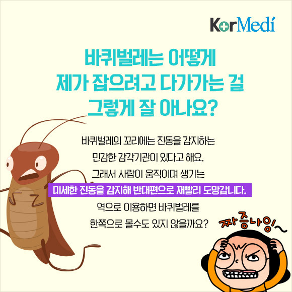 해충에 대한 오해와 진실(feat.바퀴)_약혐주의 | 인스티즈