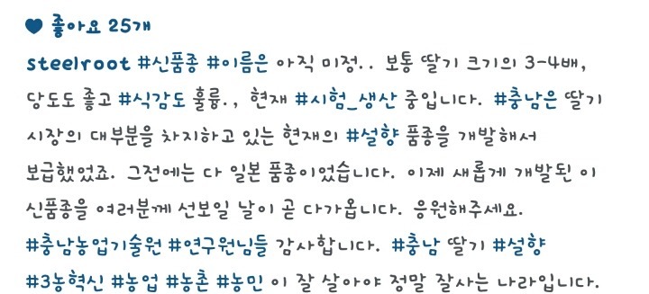 안희정 충남도지사가 인스타에 올린 딸기(충남 개발 중) | 인스티즈