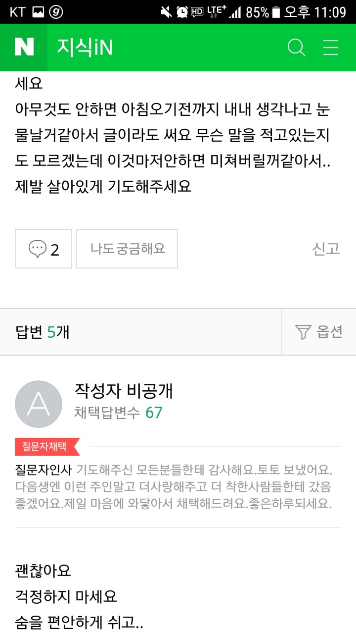 강아지가 새아빠한테 맞아 죽은거같아요 도와주세요 | 인스티즈