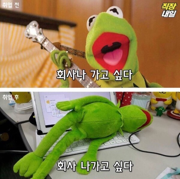 월요병걸린 쌍커들을 위한 취직전 vs 취직후 (개구리 귀여움 주의)-이미지 추가 | 인스티즈
