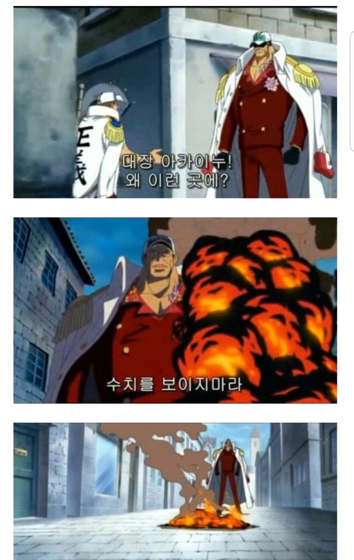 샹크스가 팔을 내준 이유.fact | 인스티즈