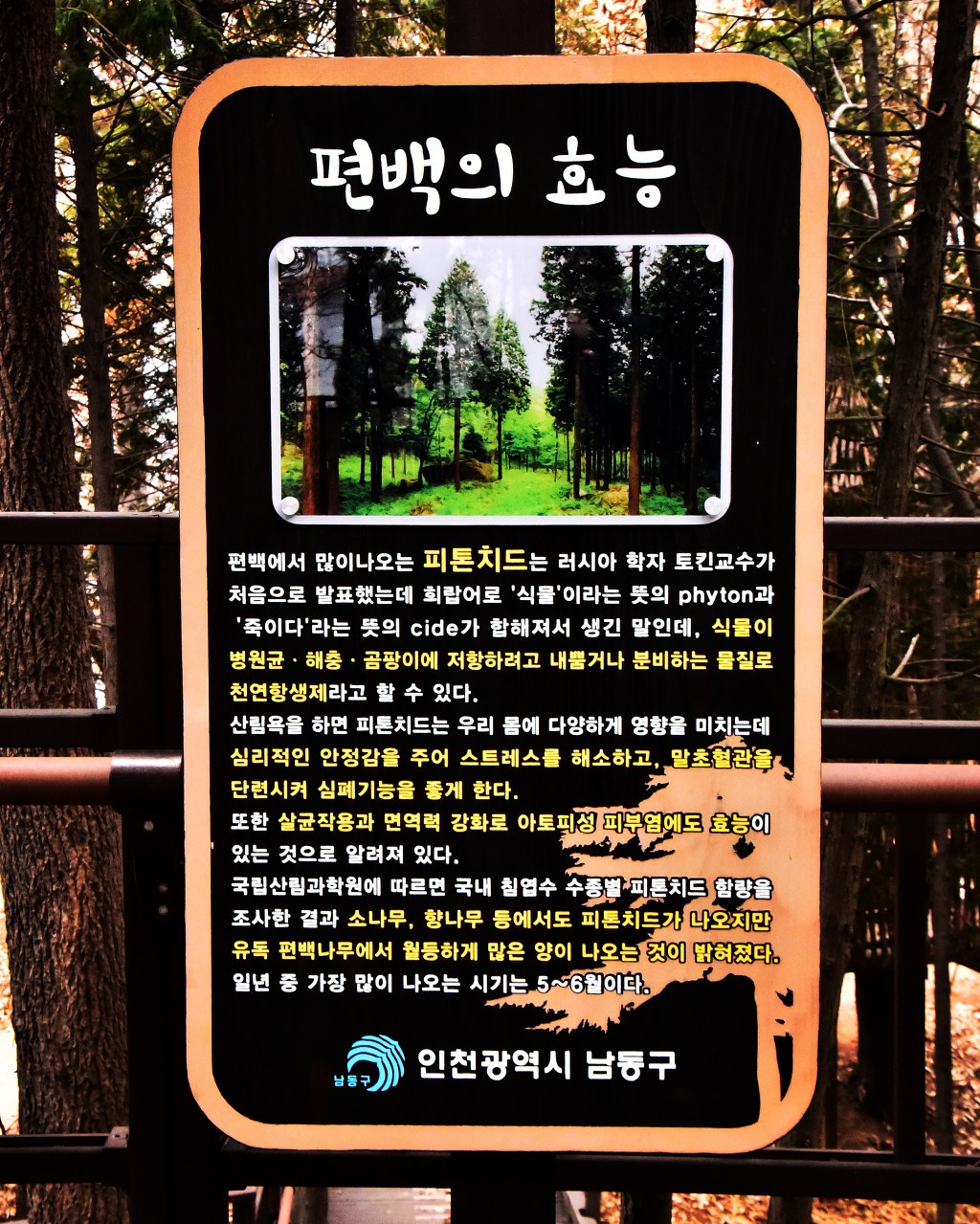 늘솔길 이미지