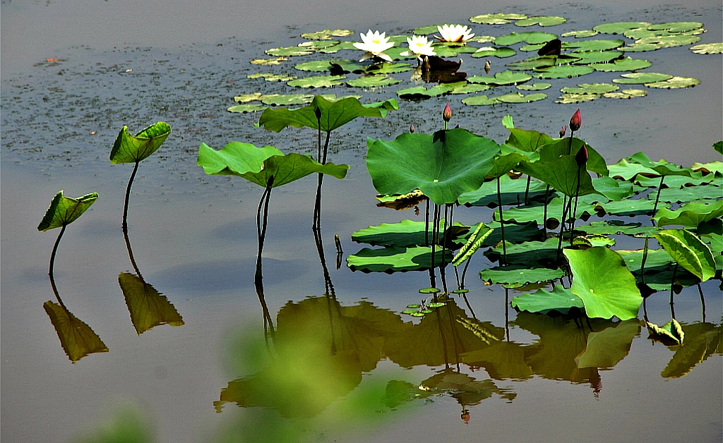 청림원 이미지