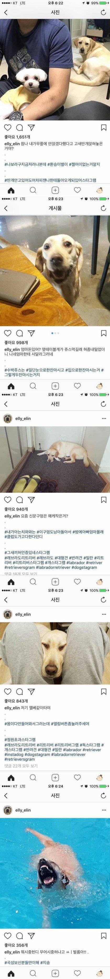 개주인의 흔치 않은 인스타 | 인스티즈