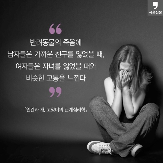처음 반려동물 키우기 시작했을 때 너무 좋고 예뻐서 생각하지 못하는 것.jpg | 인스티즈