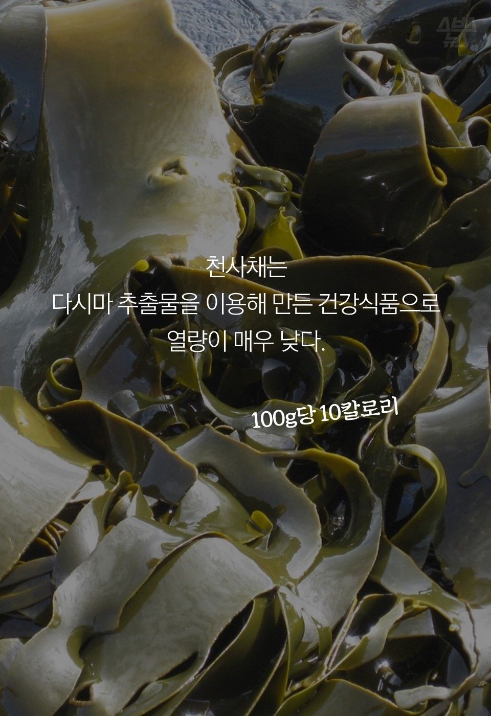 회 밑에 까는 '천사채' 먹어도 될까?…개발자에게 물어봤다 | 인스티즈