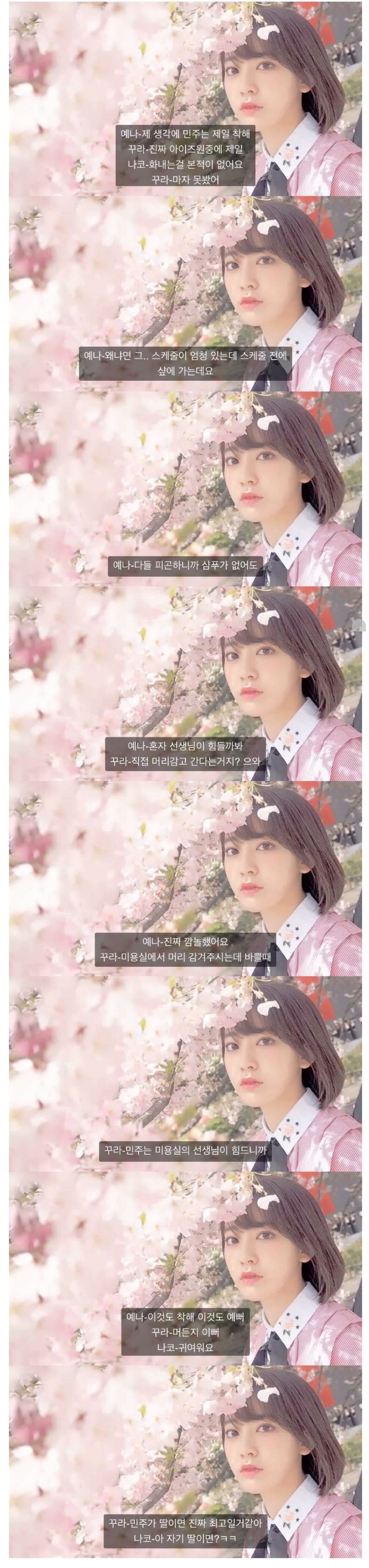 친부모님도 이렇게 까지는 못 한다는 아이즈원 사쿠라의 멤버 주접문 | 인스티즈