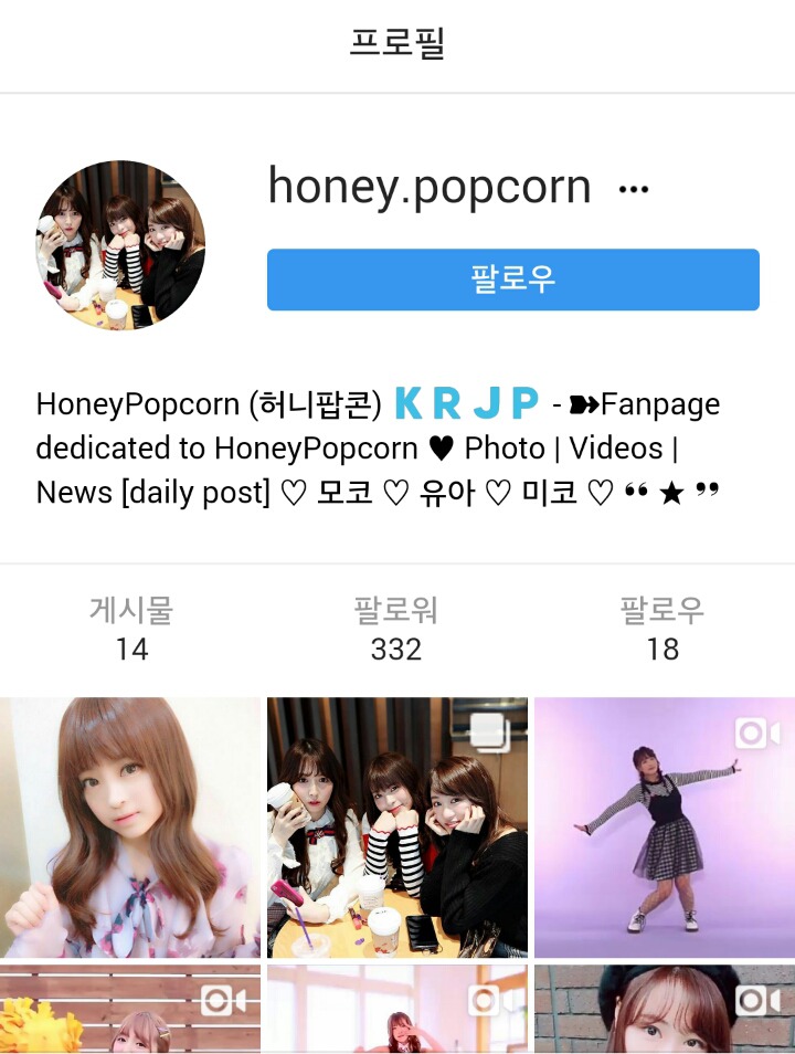 현직 일본AV배우들이 kpop으로 데뷔준비 중인데 그 팬계정이 한국걸그룹과 멤버이름 테그를 걸고있어요 | 인스티즈