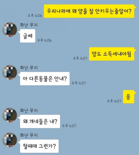 우리나라에서 양을 안 키우는 이유는 뭘까요~? | 인스티즈