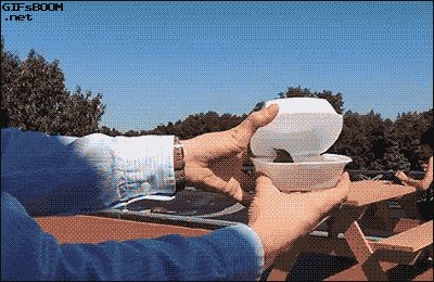 아름다운 방생의 순간들.gif | 인스티즈