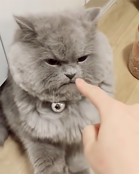 심통난거 아니긔 | 인스티즈