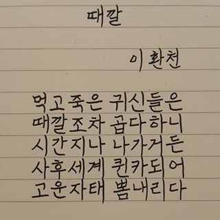 떼깔 이미지