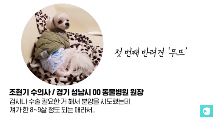 폭염 속 버려진 똘똘이가 모니로 개명한 사연 | 인스티즈