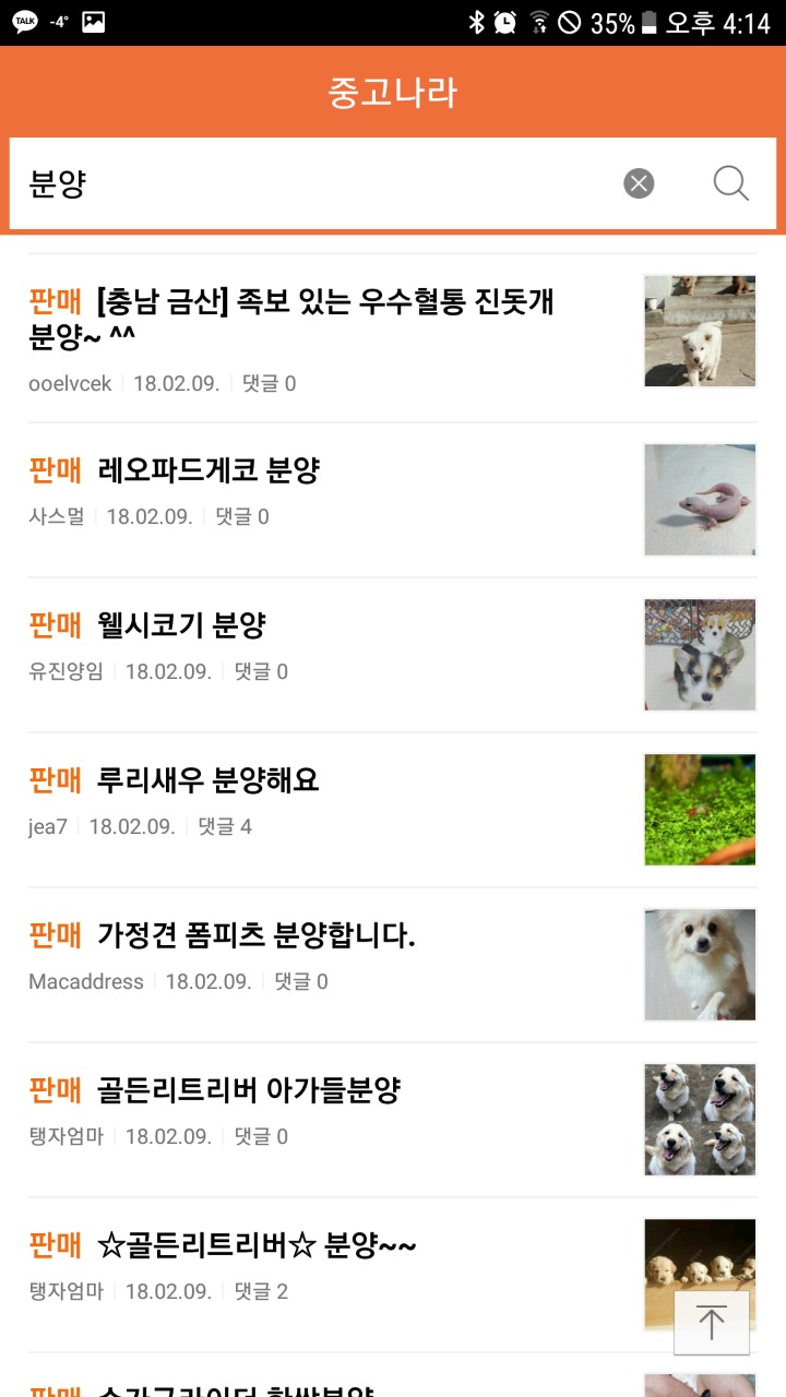 네이버 카페 중고나라에서 파는 강아지들 | 인스티즈