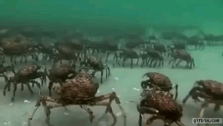 집단게이동영상.gif | 인스티즈