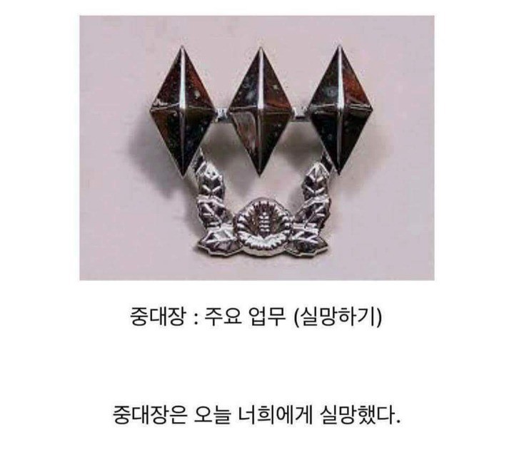 제일 실망을 많이히는 직업.jpg | 인스티즈