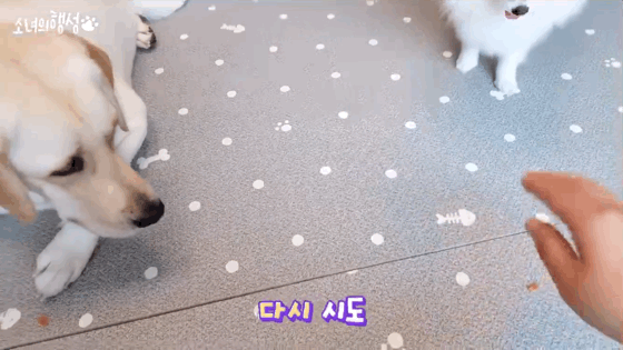 "먹어" 대신 다른말을 해보았습니다 | 인스티즈