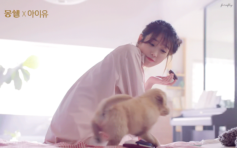 아이유&강아지.gif | 인스티즈