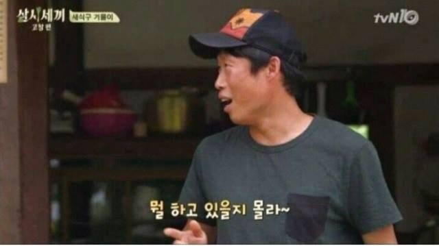 집에서 반려견이 안보일때 찾는법 | 인스티즈